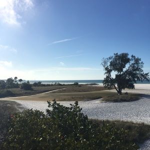 Meet your Posher, Suzanne